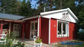 Wald-Elfe - Image 1