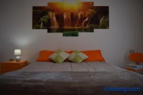 suite the natural color - Image 2