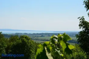 Grand Cru 3. Vendégház - Image 2