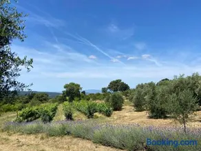 Tenuta Le Mandorlaie, Agriturismo in Scansano - Image 1