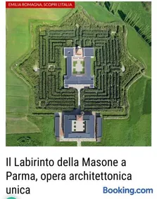 Le piante di casa SaMar - Image 3