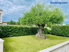 Villa Ulivo Apartments - Image 3