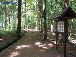 Ferienwohnung Erzgebirge - Pobershau - mit schönem Ausblick, ruhige, beste Lage - Image 4