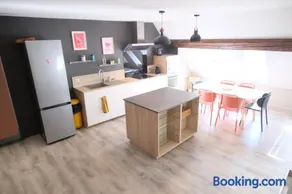 Grand Loft Place Ziem - Coeur de Ville - Image 4