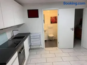 Basel - 5 mins away - Modern Basement Studio with Kitchen 35m2 in Muttenz - Image 3