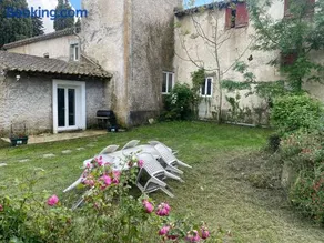 les bambous - Image 2