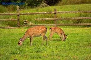Black Valley lodge - Image 3
