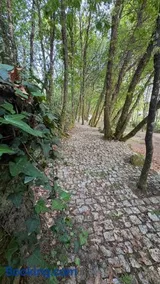 Casinha das bonecas - Image 3