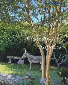Casa dos três rapazes - Image 3