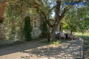 Lucente - Image 3