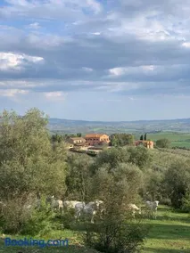 Fattoria Tolomei - Image 3