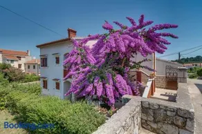 Apartments Bugenvilia I Near Beach & Private Parking - Image 1