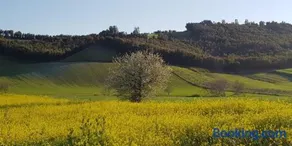 Agriturismo la Mandragola Relais - Image 3