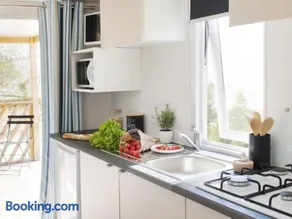 Agréable mobil home avec barbecue, jardin et terrasse | Avec animaux autorisés - Image 1