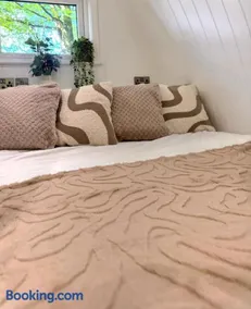 The Pod-Hot Tub-Woodland Lodges-St Clears-Carmarthen - Image 1