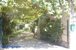 Vivienda tradicional con jardín y patio interior - Image 2
