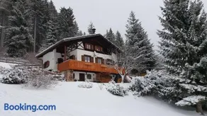 Almhaus Anita - Image 1