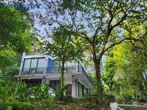 Eagle Nest - Image 1