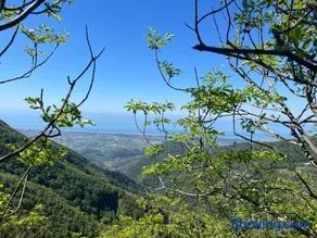Flora's Nest - Oasis of peace with a view of the Apuan Alps - Image 1