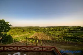 Edelin Wine House - Image 5