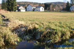 Haus am Treffenbach - Image 2