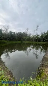 Mountain View Resort - Image 2