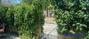 Small Paradise - Image 4