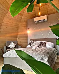 Forest Glamp & Jacuzzi - Image 1