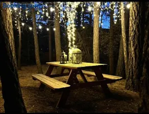 Cabin on Rainbow - Spa - Fireplace - BBQ - EV - Save with Longer Stay! - Image 5