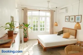 Srilax - Image 3