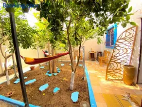 Red Carpet Surf Camp , Surf , Stay And Adventure in Tamraght, Morocco - Image 2