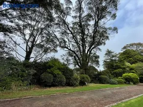 MaddOx Farm Cottage - Farm Stay - Image 3