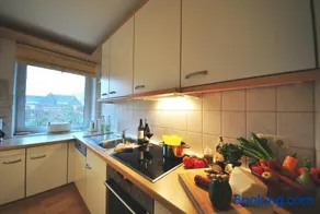 Ferienwohnung am Damenpfad - Image 4