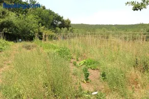 Agriturismo Podere i Livelli - Image 4