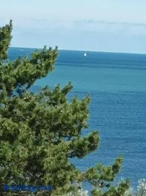 le cottage vue mer - Image 4