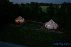 Holmegaard vin og glamping - Image 3