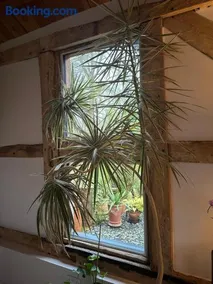 The Barn - Image 5