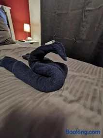 Liebevoll eingerichtete Ferienwohnung - Zentrale Lage - Netflix & Paytv - Image 5
