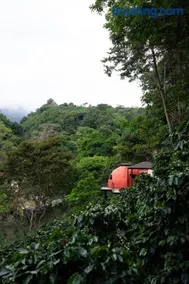 The Dome Boquete - Image 2