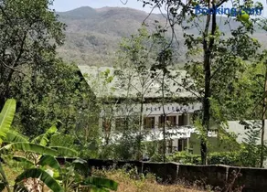 Hill View Stay Inn Ponmudi - Image 4