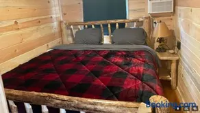 Black Bear Cabin - Image 2
