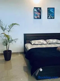 Oak & olive homestay - Image 4
