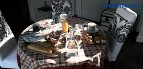 LES HIPPOCAMPES - Image 3