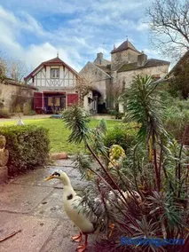 Au cœur de Fontaine - Image 1