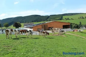 Ferienbauernhof Gördes - Image 3
