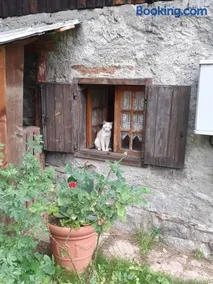 Soggiorno Vacanze Stella Alpina - Image 2