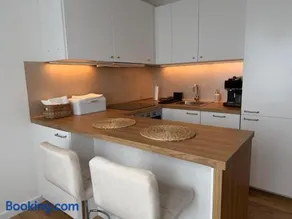 Luxurious apartment in the centre of Aš - Image 3