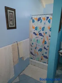 Lendal APT - Image 3