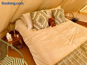 Quex Glamping - Image 5