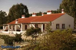 Monte Do Areeiro - Image 5